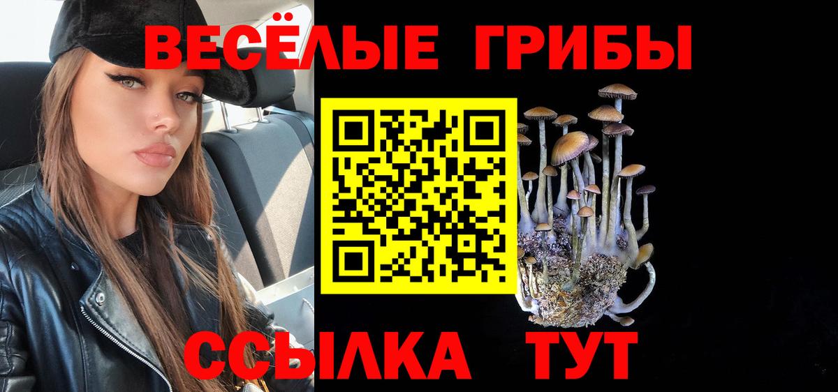 Галлюциногенные грибы ЛСД Изобильный